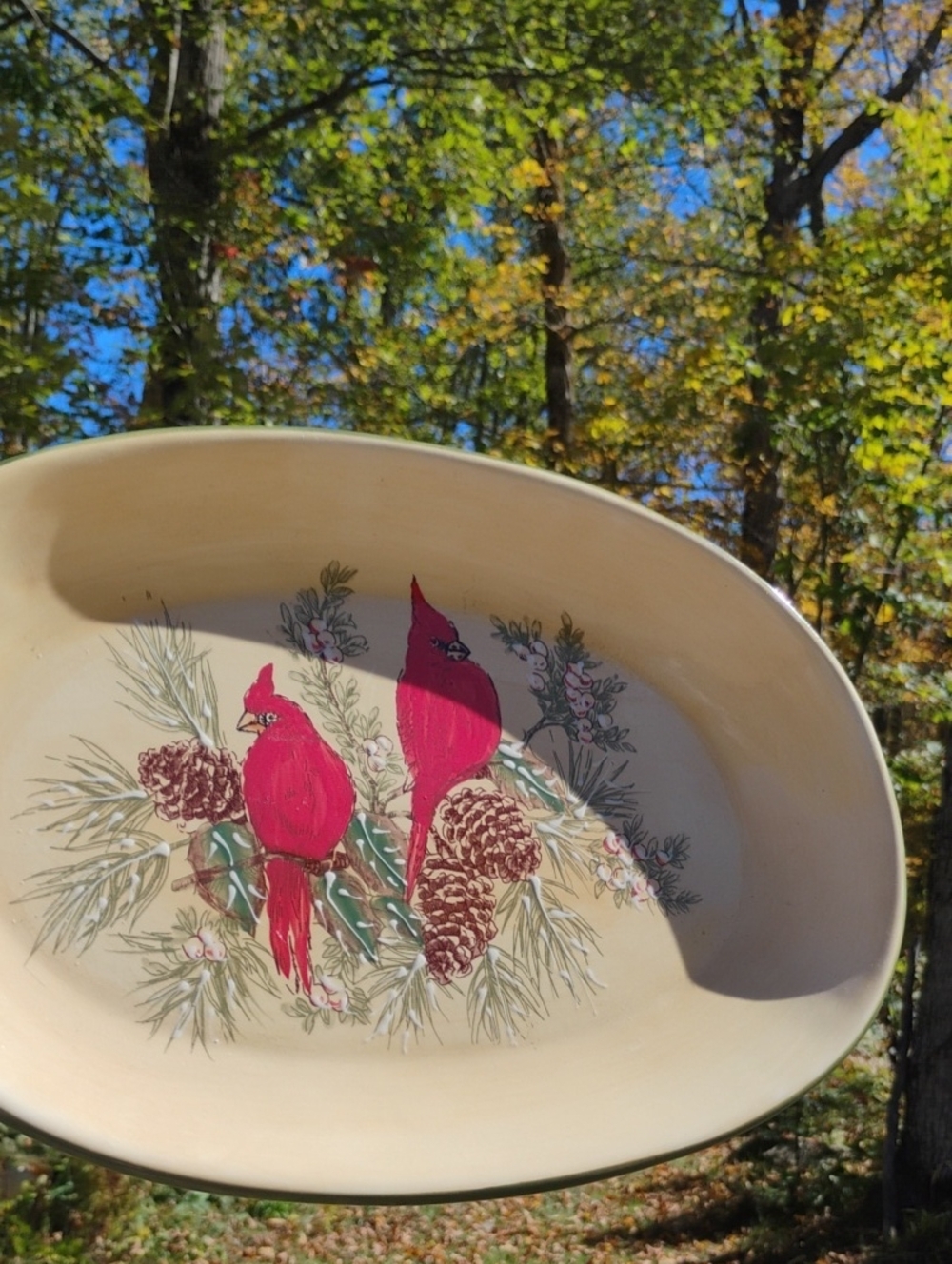 Cardinal PLATTER Pinecones Hand Painted Platter EPLVC Pacific Rim
